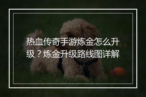 热血传奇手游炼金怎么升级？炼金升级路线图详解