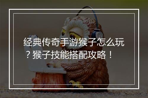 经典传奇手游猴子怎么玩？猴子技能搭配攻略！