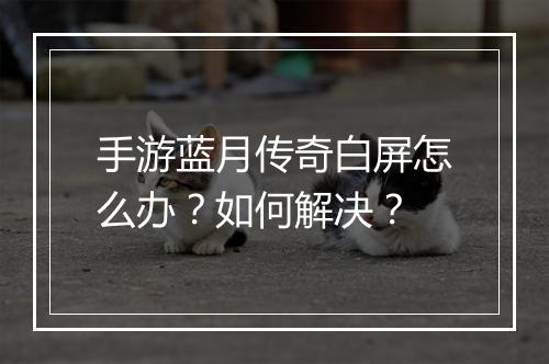 手游蓝月传奇白屏怎么办？如何解决？