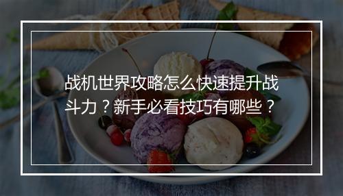 战机世界攻略怎么快速提升战斗力？新手必看技巧有哪些？
