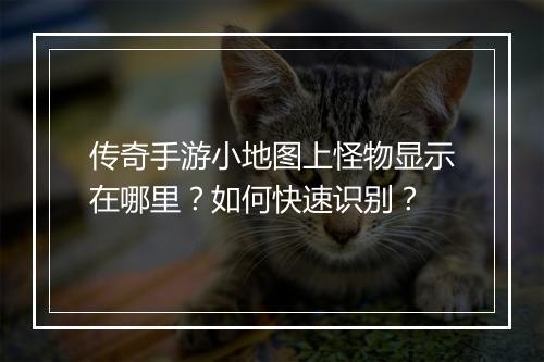 传奇手游小地图上怪物显示在哪里？如何快速识别？