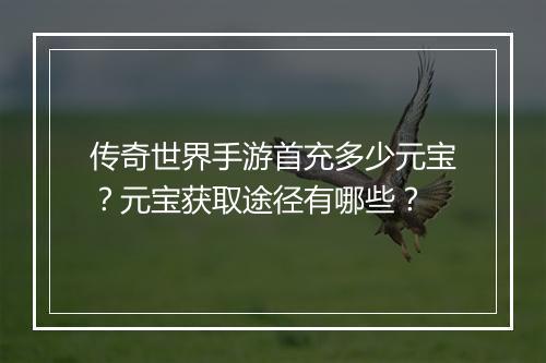 传奇世界手游首充多少元宝？元宝获取途径有哪些？