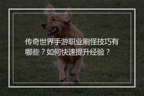 传奇世界手游职业刷怪技巧有哪些？如何快速提升经验？