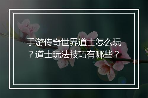 手游传奇世界道士怎么玩？道士玩法技巧有哪些？