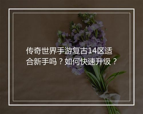 传奇世界手游复古14区适合新手吗？如何快速升级？