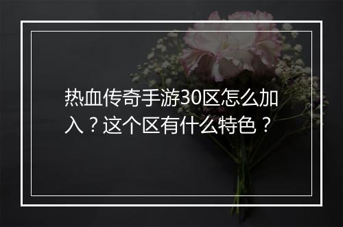 热血传奇手游30区怎么加入？这个区有什么特色？