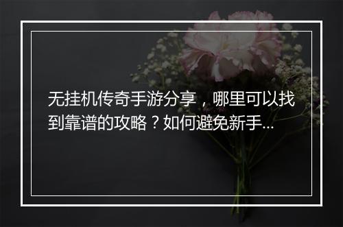 无挂机传奇手游分享，哪里可以找到靠谱的攻略？如何避免新手误区？
