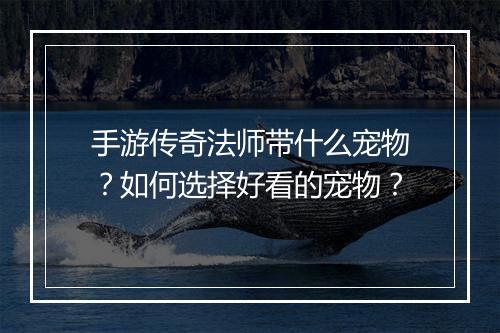 手游传奇法师带什么宠物？如何选择好看的宠物？