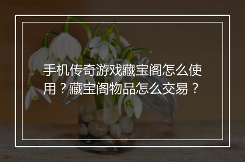 手机传奇游戏藏宝阁怎么使用？藏宝阁物品怎么交易？