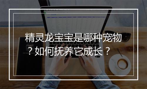 精灵龙宝宝是哪种宠物？如何抚养它成长？