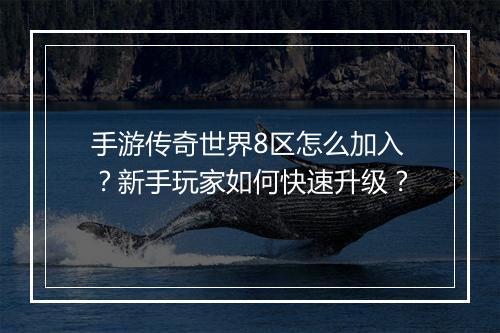 手游传奇世界8区怎么加入？新手玩家如何快速升级？