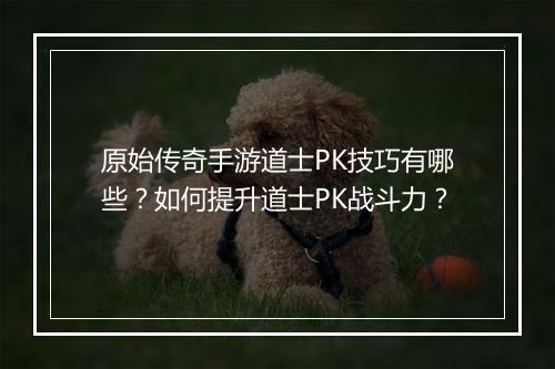 原始传奇手游道士PK技巧有哪些？如何提升道士PK战斗力？