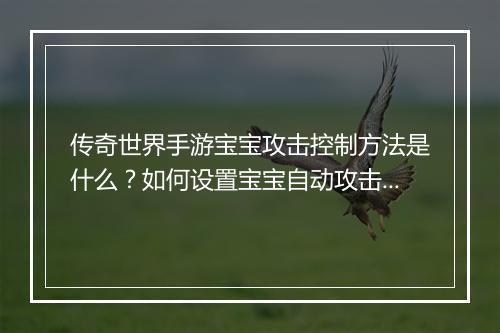 传奇世界手游宝宝攻击控制方法是什么？如何设置宝宝自动攻击？