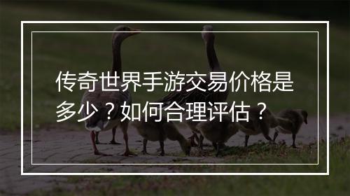 传奇世界手游交易价格是多少？如何合理评估？