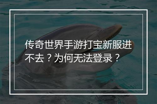 传奇世界手游打宝新服进不去？为何无法登录？