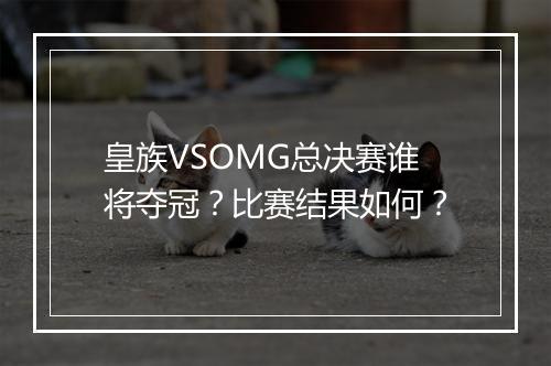 皇族VSOMG总决赛谁将夺冠？比赛结果如何？