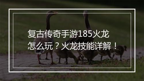 复古传奇手游185火龙怎么玩？火龙技能详解！