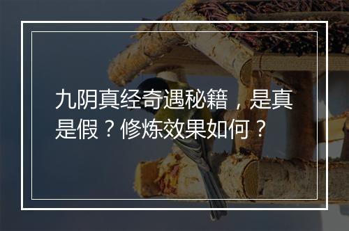 九阴真经奇遇秘籍，是真是假？修炼效果如何？