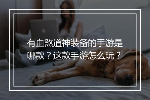 有血煞道神装备的手游是哪款？这款手游怎么玩？