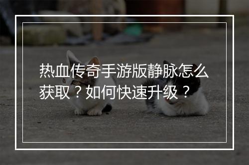 热血传奇手游版静脉怎么获取？如何快速升级？
