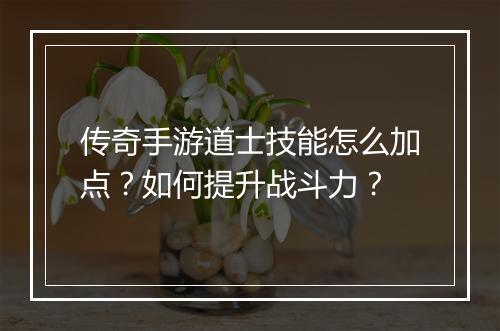 传奇手游道士技能怎么加点？如何提升战斗力？