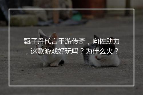 甄子丹代言手游传奇，向佐助力，这款游戏好玩吗？为什么火？