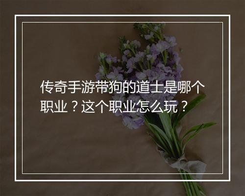 传奇手游带狗的道士是哪个职业？这个职业怎么玩？