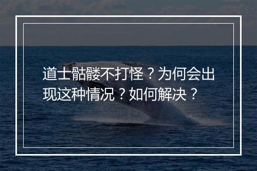 道士骷髅不打怪？为何会出现这种情况？如何解决？