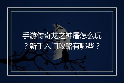 手游传奇龙之神屠怎么玩？新手入门攻略有哪些？