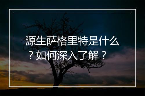 源生萨格里特是什么？如何深入了解？