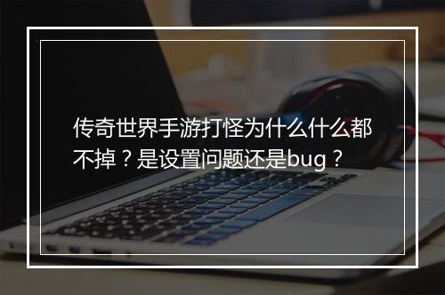 传奇世界手游打怪为什么什么都不掉？是设置问题还是bug？