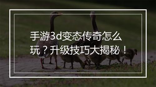 手游3d变态传奇怎么玩？升级技巧大揭秘！