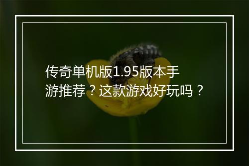传奇单机版1.95版本手游推荐？这款游戏好玩吗？