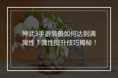 神武3手游装备如何达到满属性？属性提升技巧揭秘！