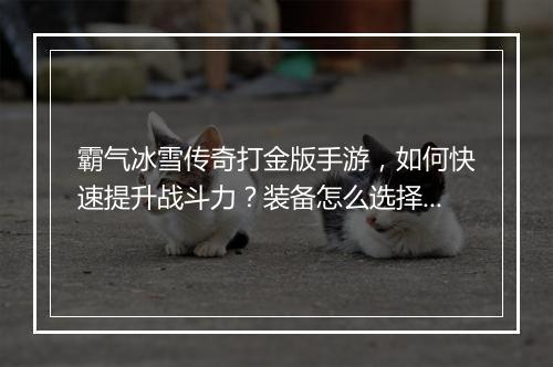 霸气冰雪传奇打金版手游，如何快速提升战斗力？装备怎么选择？
