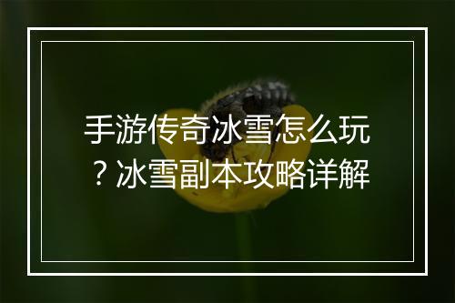 手游传奇冰雪怎么玩？冰雪副本攻略详解