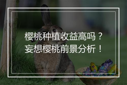 樱桃种植收益高吗？妄想樱桃前景分析！