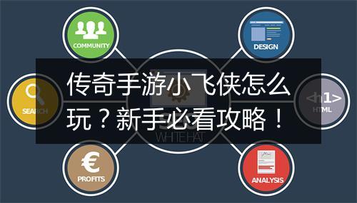 传奇手游小飞侠怎么玩？新手必看攻略！