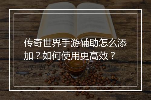 传奇世界手游辅助怎么添加？如何使用更高效？