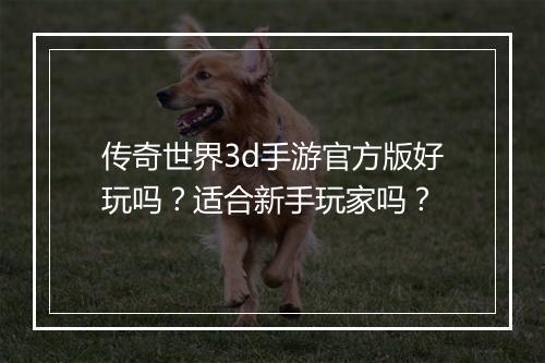 传奇世界3d手游官方版好玩吗？适合新手玩家吗？