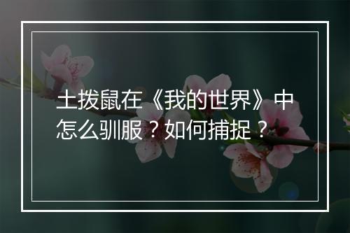 土拨鼠在《我的世界》中怎么驯服？如何捕捉？