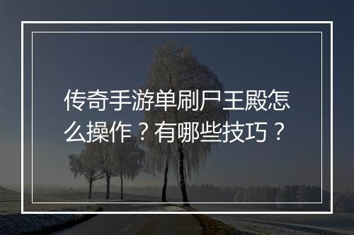 传奇手游单刷尸王殿怎么操作？有哪些技巧？