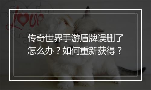 传奇世界手游盾牌误删了怎么办？如何重新获得？