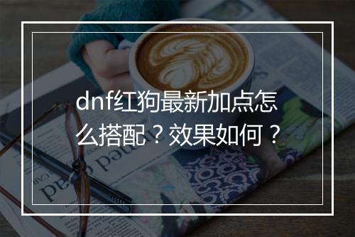 dnf红狗最新加点怎么搭配？效果如何？