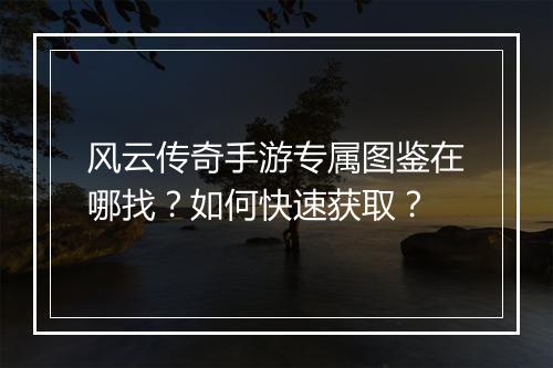 风云传奇手游专属图鉴在哪找？如何快速获取？