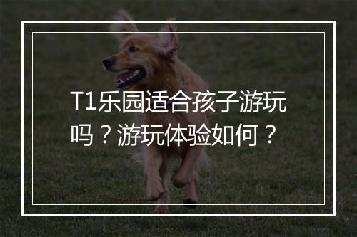 T1乐园适合孩子游玩吗？游玩体验如何？