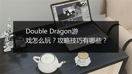 Double Dragon游戏怎么玩？攻略技巧有哪些？