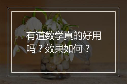 有道数学真的好用吗？效果如何？