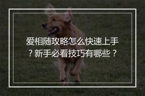 爱相随攻略怎么快速上手？新手必看技巧有哪些？