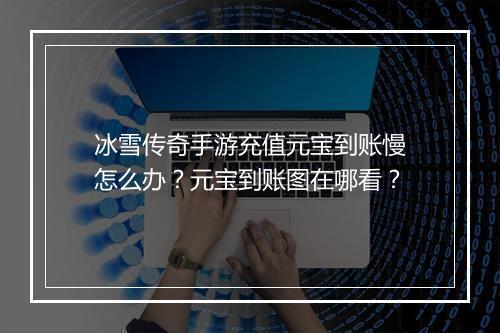 冰雪传奇手游充值元宝到账慢怎么办？元宝到账图在哪看？
